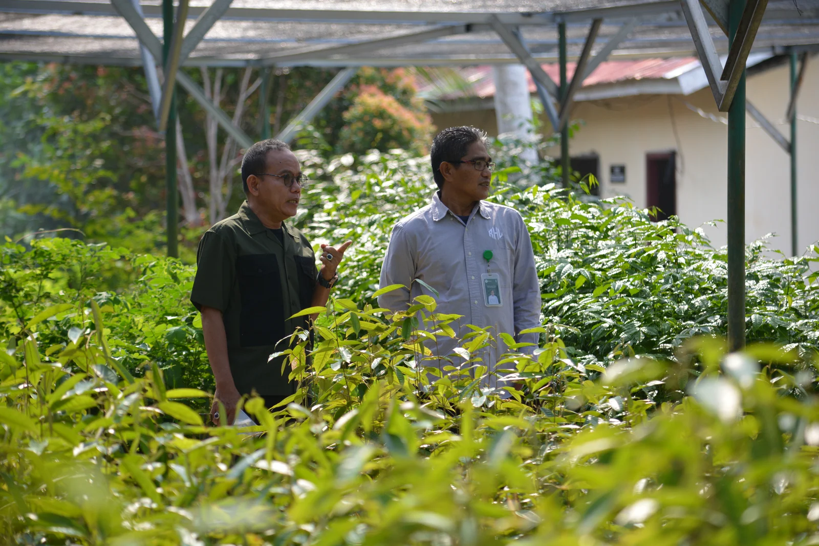 Pendampingan Kelompok Tani